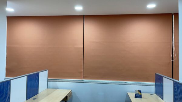 Window Roller and Vertical Blinds - Image 3