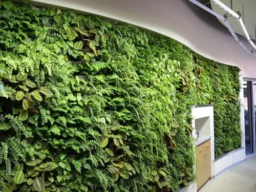 Artificial Green Wall - Vertical Application - Image 2